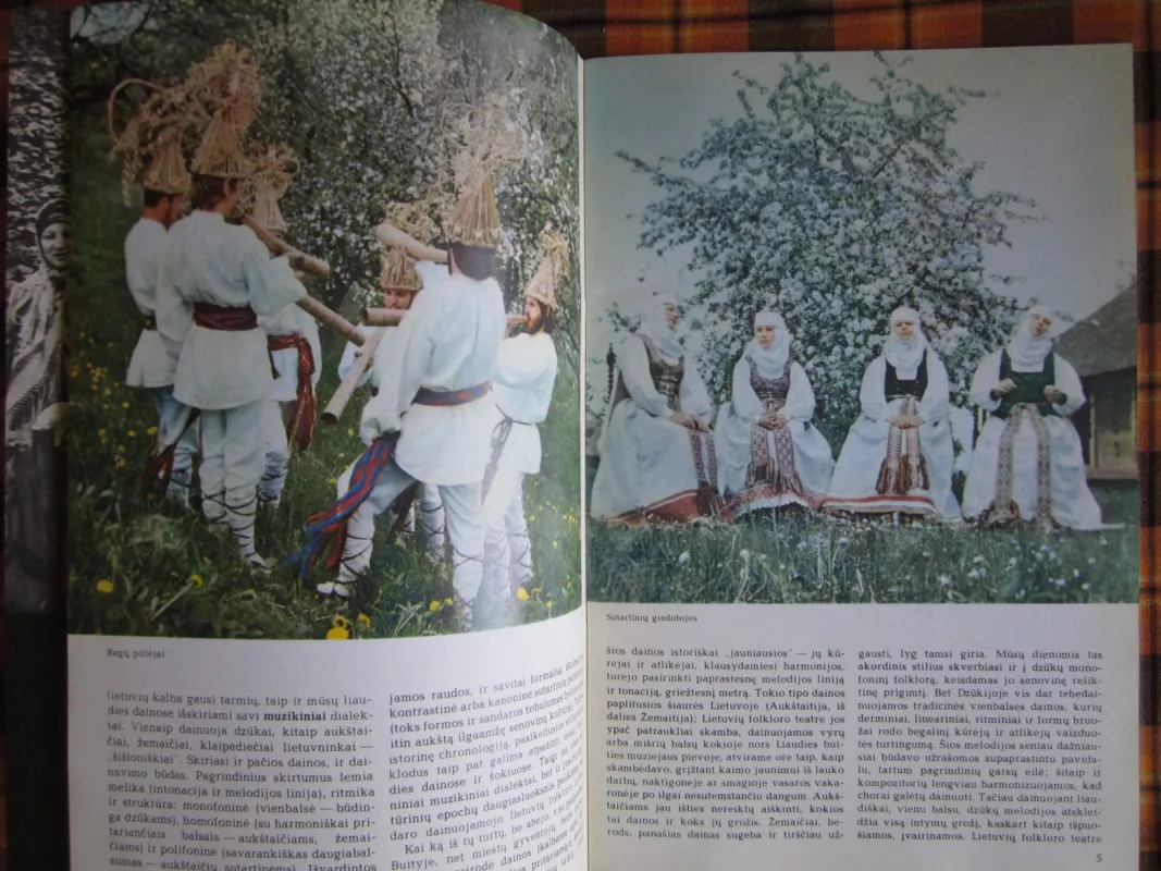 Lietuvių folkloro teatras - Vytautas Landsbergis, knyga 5