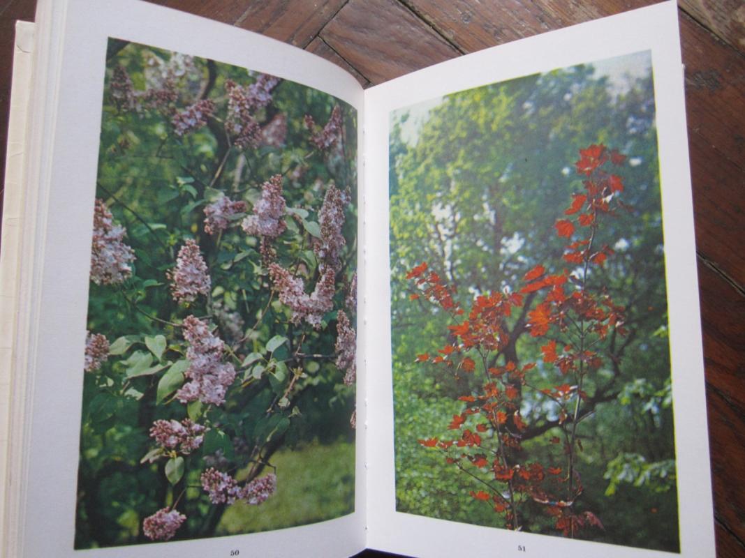 Sad nepreryvnovo cvetenija - V. N. Bylov, knyga 4