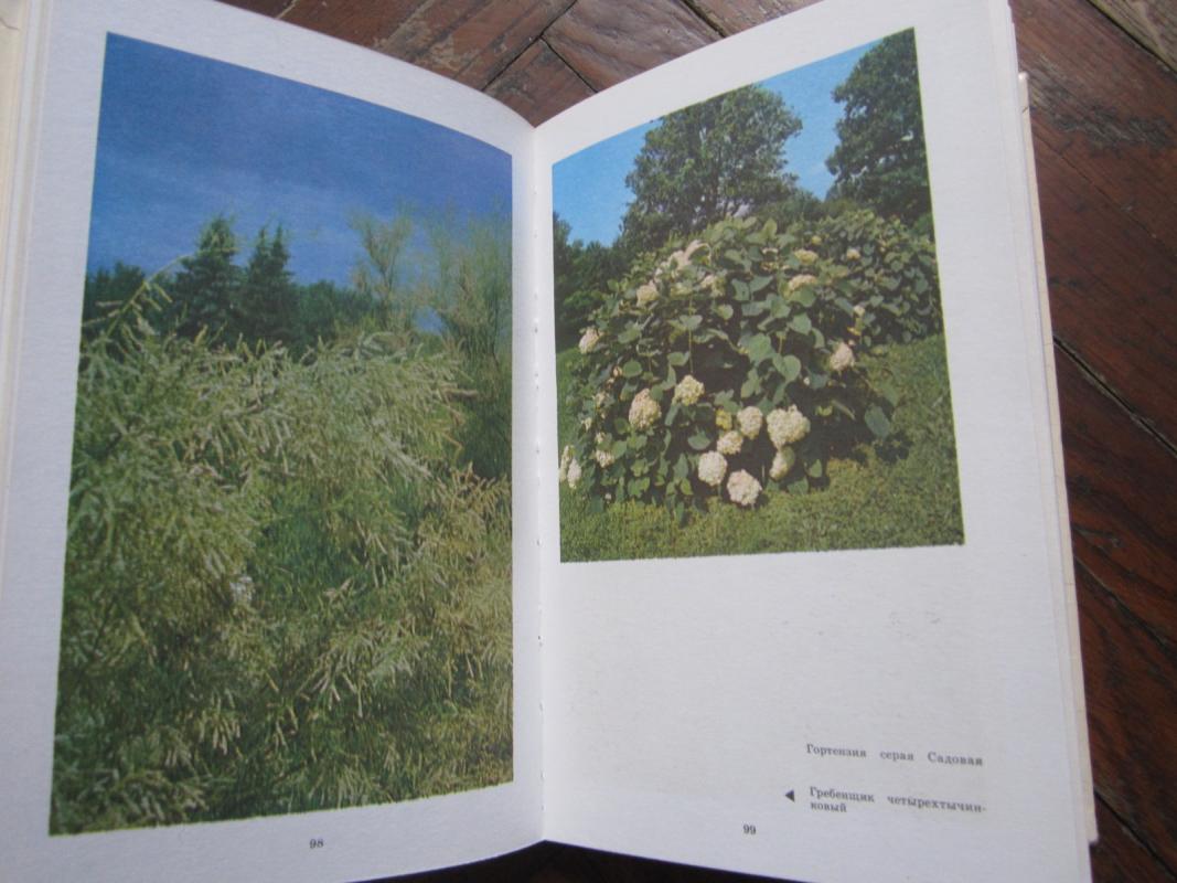 Sad nepreryvnovo cvetenija - V. N. Bylov, knyga 5