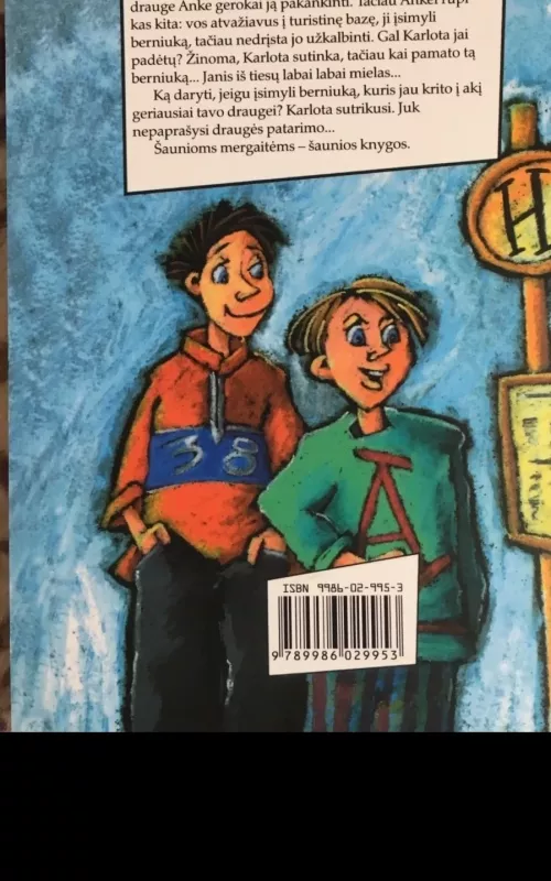 Meilė, sumaištis, klasės išvyka - Irene Zimmermann, knyga