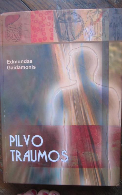 Pilvo traumos - Edmundas Gaidamonis, knyga 2