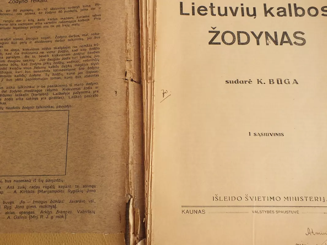 Lietuvių kalbos žodynas (II sąsiuviniai) - Autorių Kolektyvas, knyga
