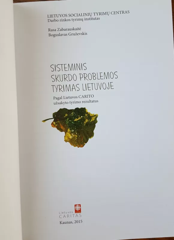 Sisteminis skurdo problemos tyrimas Lietuvoje - Autorių Kolektyvas, knyga 4