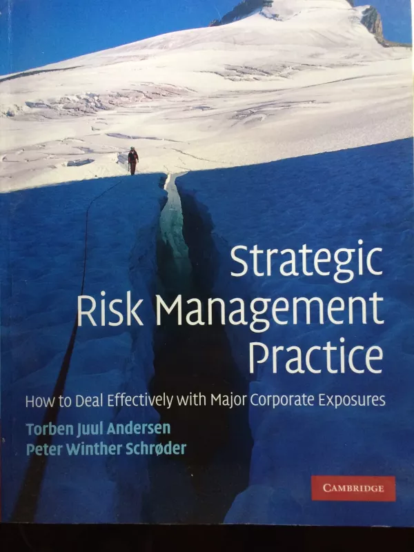 Strategic risk management practice - Autorių Kolektyvas, knyga