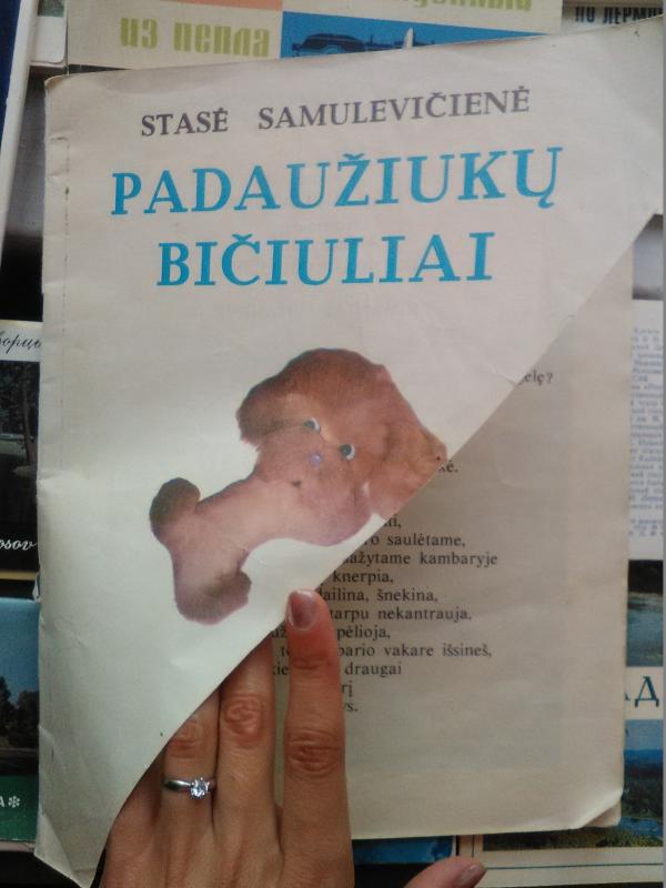 Padaužiukų bičiuliai - Stasė Samulevičienė, knyga 2