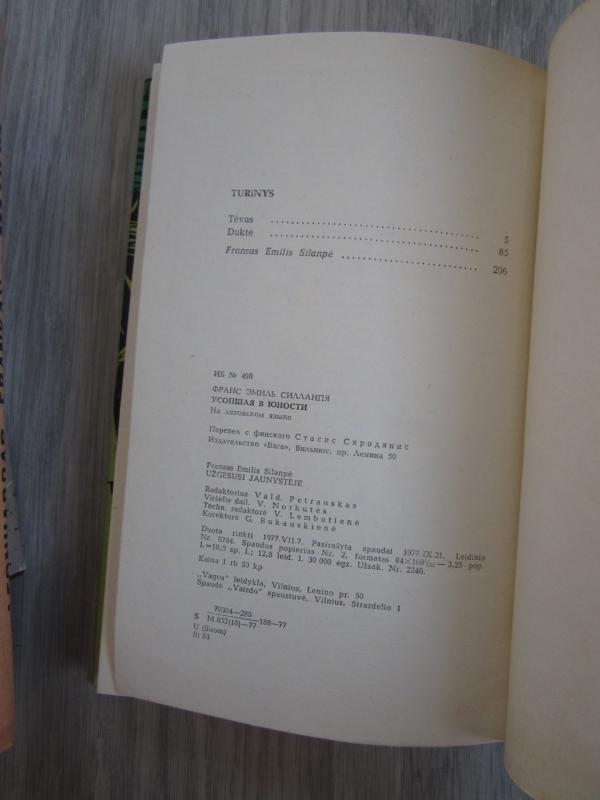 Užgesusi jaunystėje - Autorių Kolektyvas, knyga 6