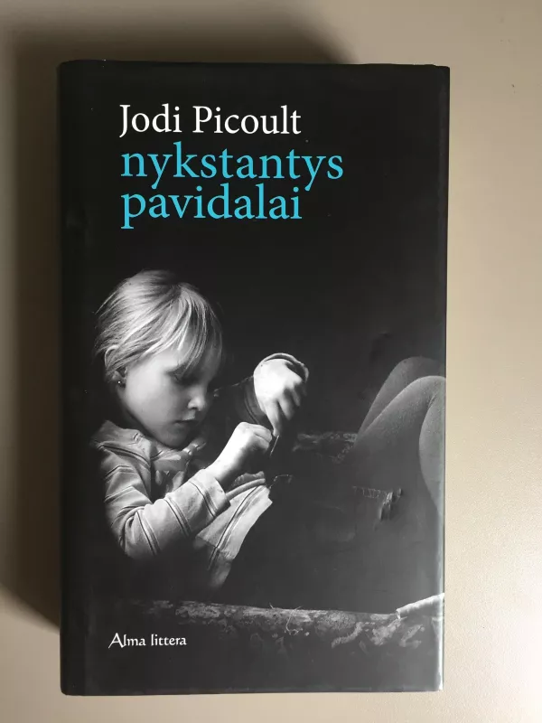 Nykstantys pavidalai - Jodi Picoult, knyga