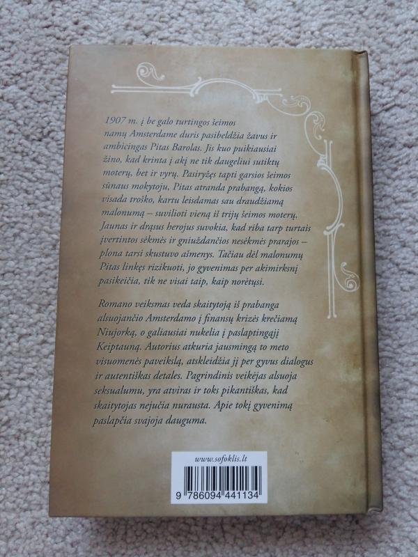 Malonumų ieškotojas - Richard Mason, knyga 3