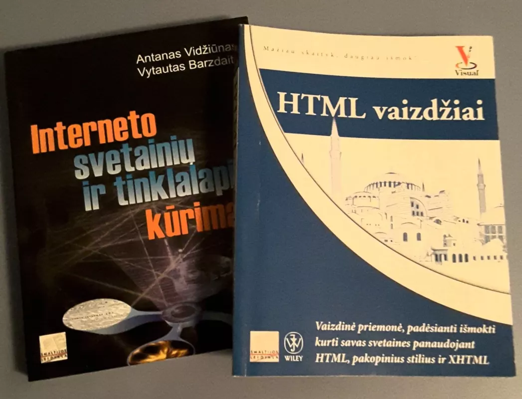 Interneto svetainių ir tinklapių kūrimas - Vytautas Barzdaitis, knyga