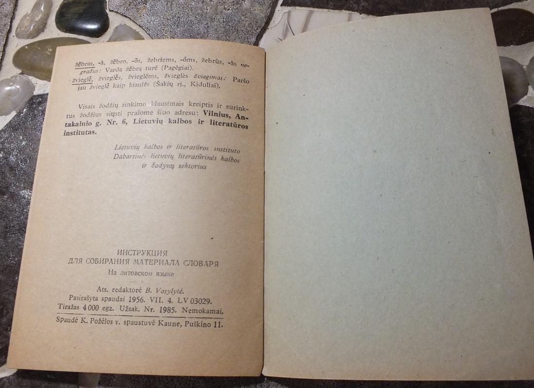 Instrukcija žodžių rinkėjams - Autorių Kolektyvas, knyga 4