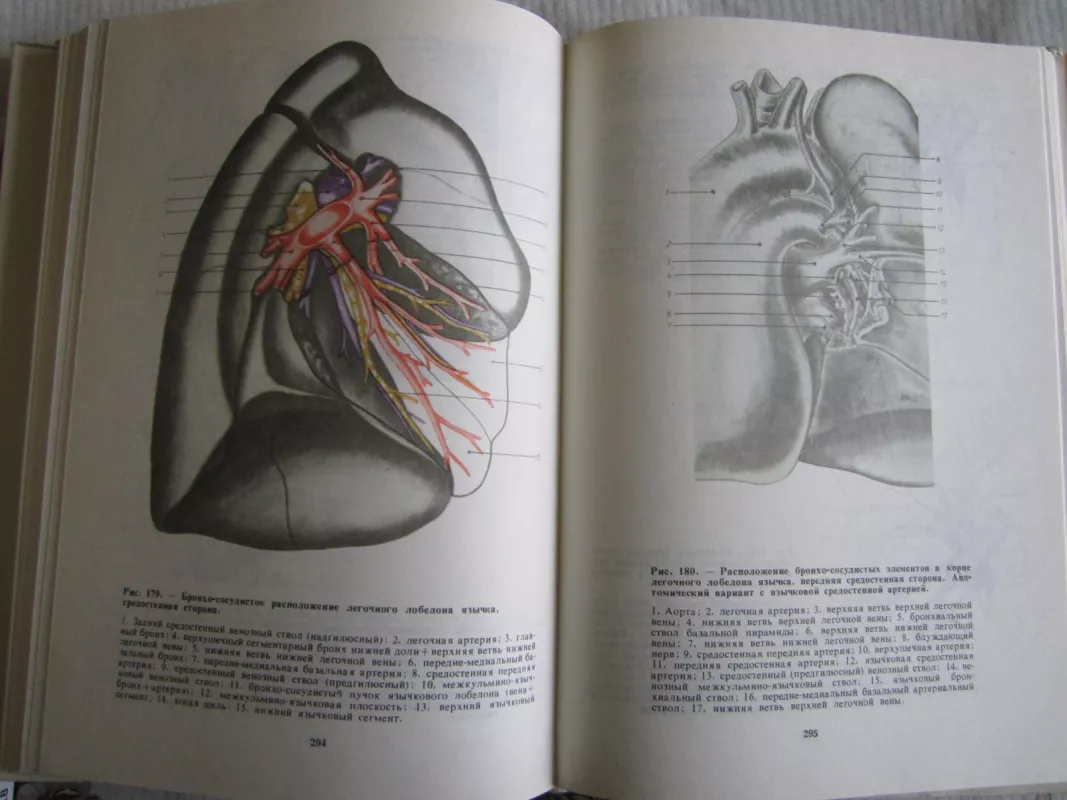 Rezekciji liogkich   Anatomičeskije osnovy I chirurgičeskaja metodika - L. Bežan, knyga 6