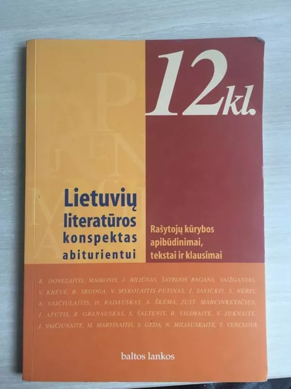 Lietuvių literatūros konspektas abiturientui - R. Dilienė, ir kiti , knyga
