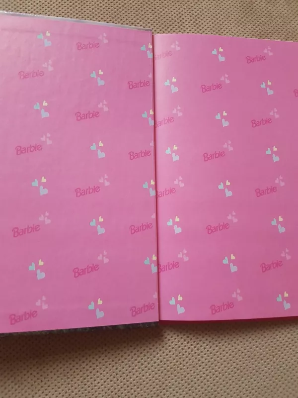 Barbie - The Silver Deer, knyga