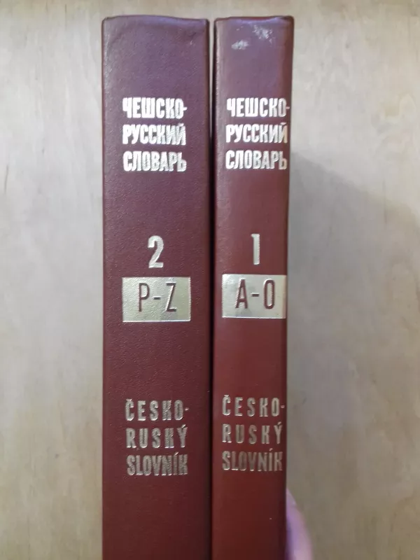 Češsko-russkij slovar - Autorių Kolektyvas, knyga 3