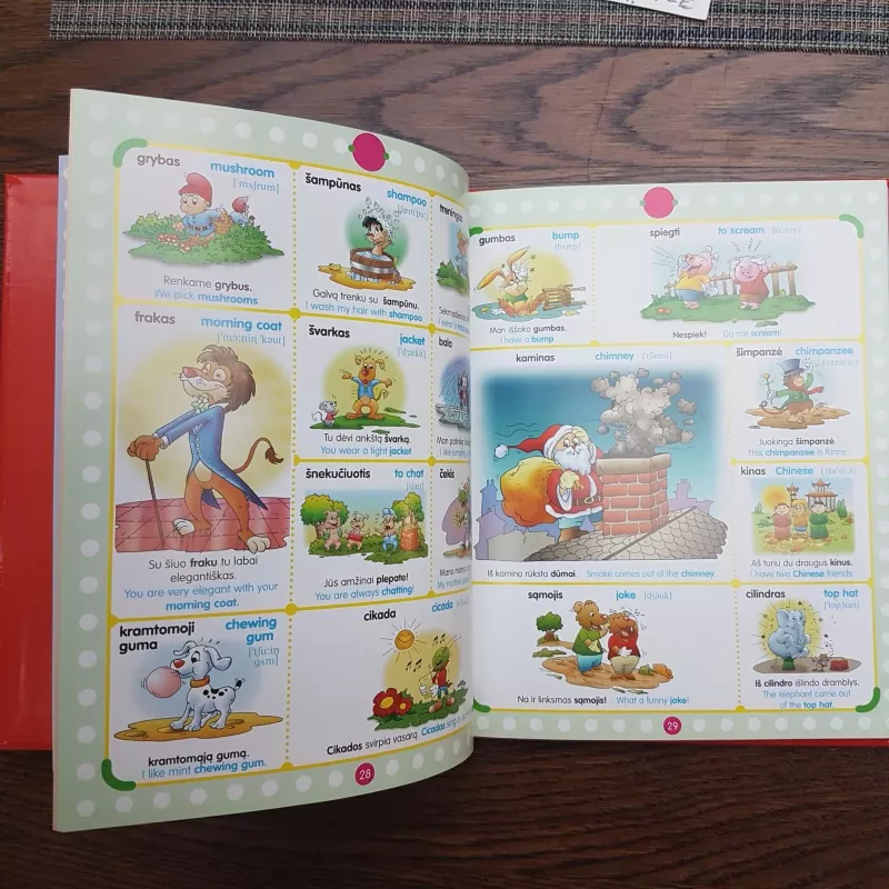 Linksmai paveiksluotas lietuvių-anglų kalbų žodynėlis ne tik vaikams - Eduardo Trujillo, knyga