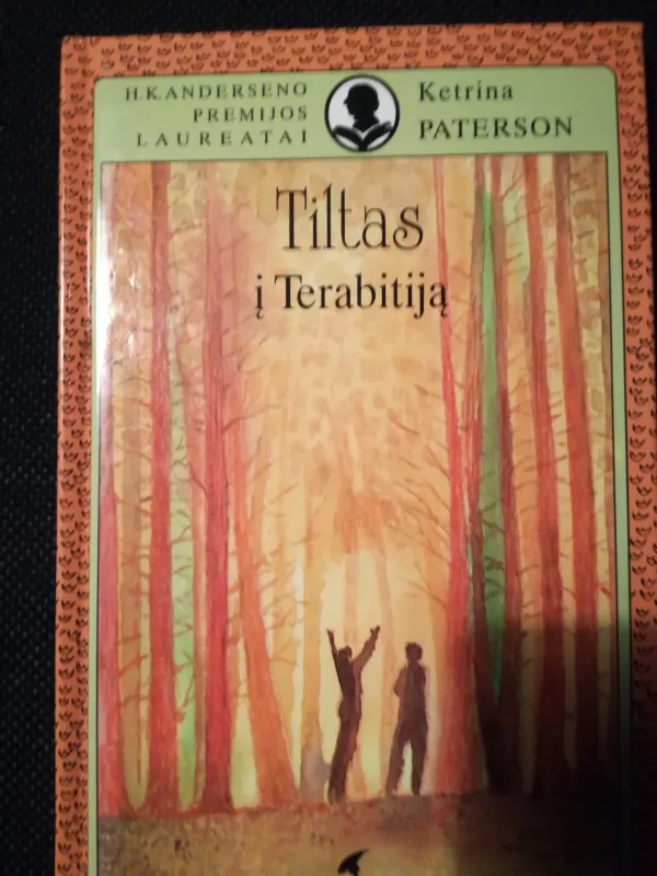 Tiltas į terabitiją - Ketrina Paterson, knyga