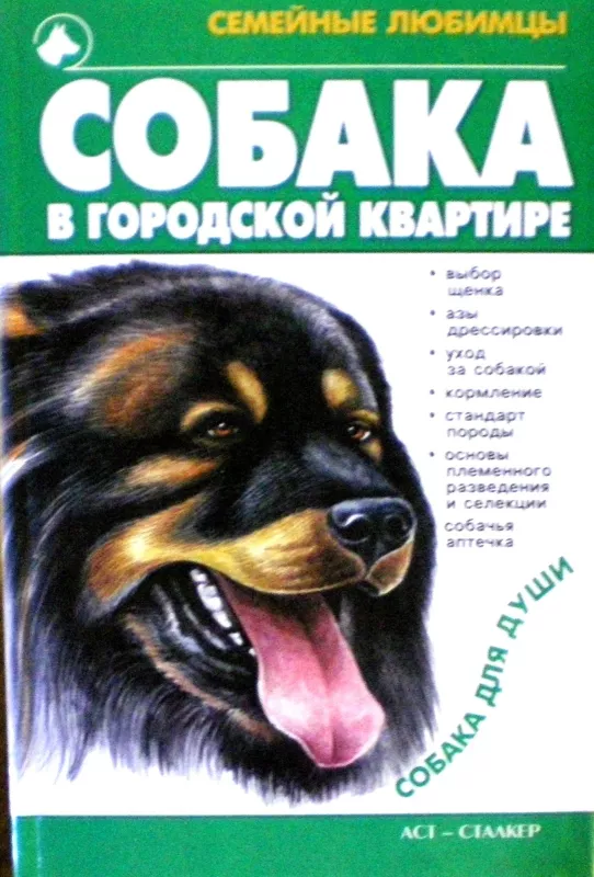 Собака в городской квартире - Маслаков Артем, knyga