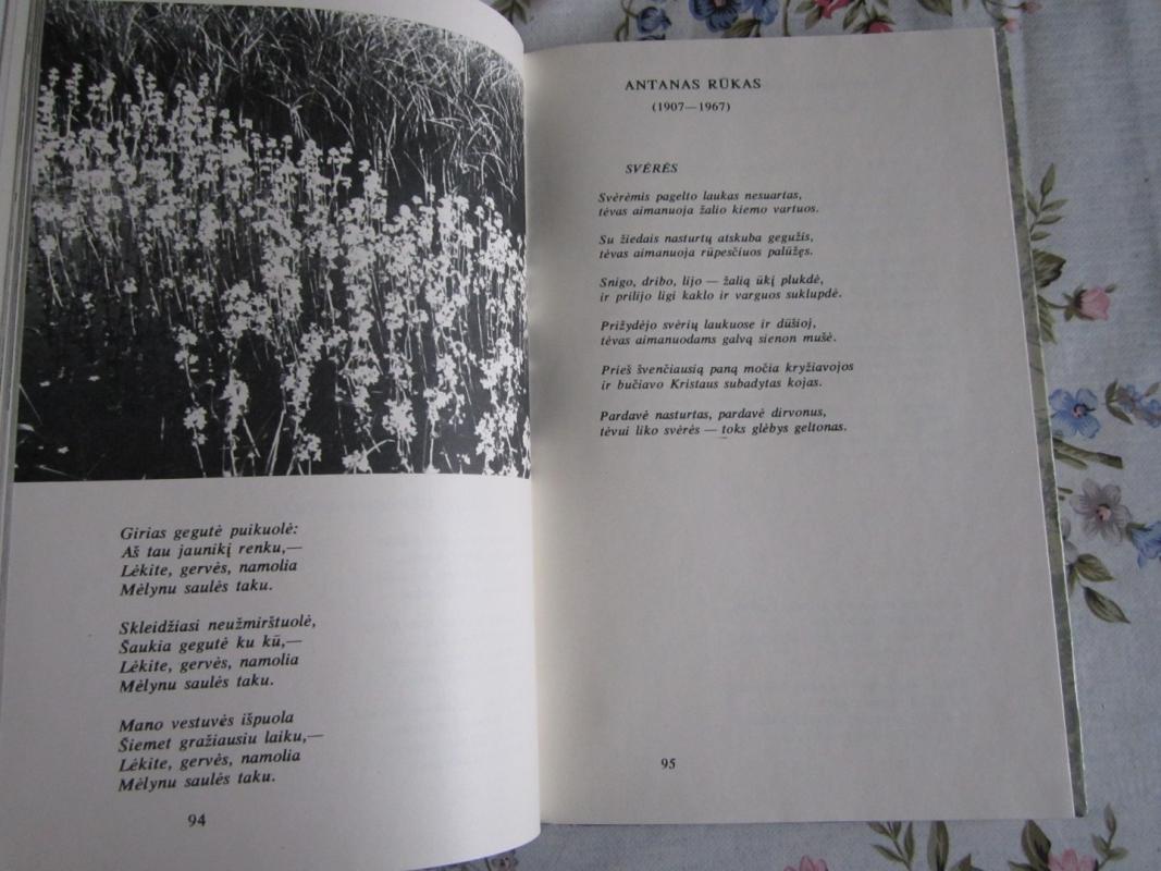 Po medžio ir paukščio sparnais - Autorių Kolektyvas, knyga 4