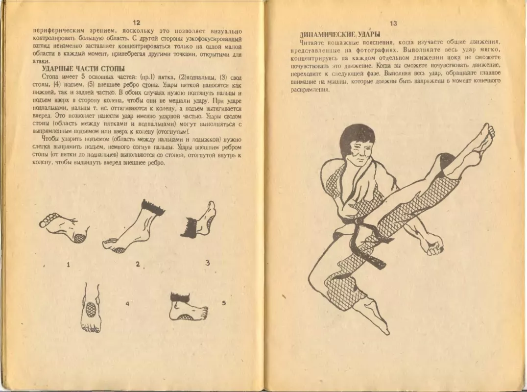 Динамика ударов ног:тае квон до - Чонг Ли, knyga