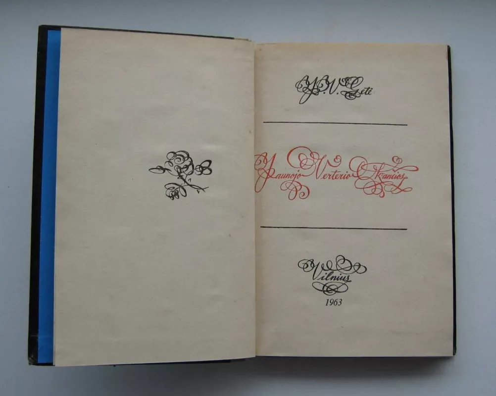 Jaunojo Verterio kančios - Johanas Volfgangas Gėtė, knyga 3