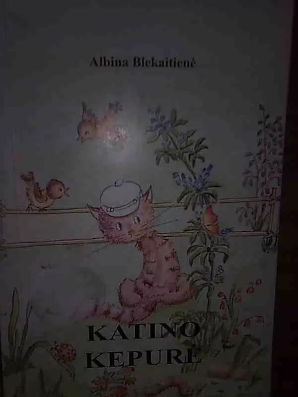 Katino kepurė - Albina Blekaitienė, knyga