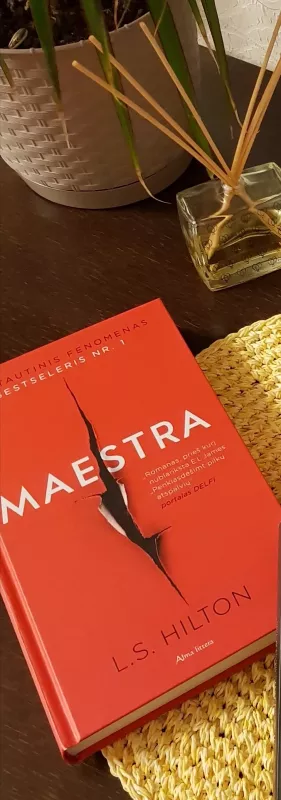 Meastra - L.S. Hilton, knyga