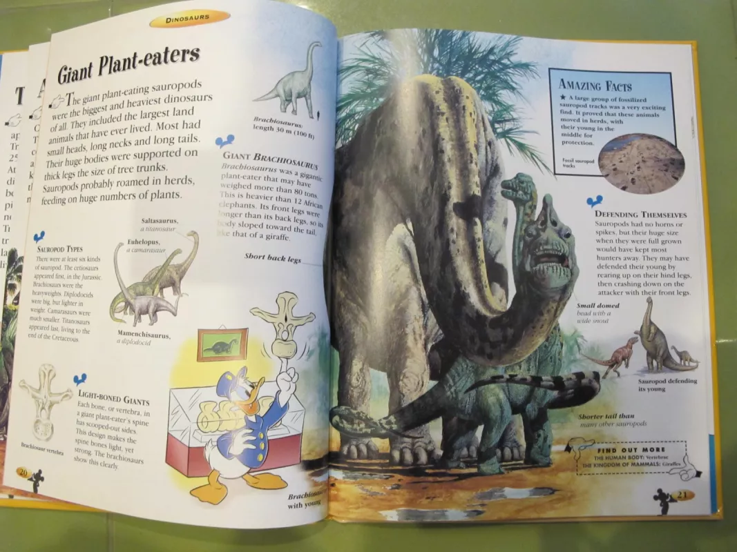 Dinosaurs. Disney. The Wonderful World of Knowledge - Autorių Kolektyvas, knyga