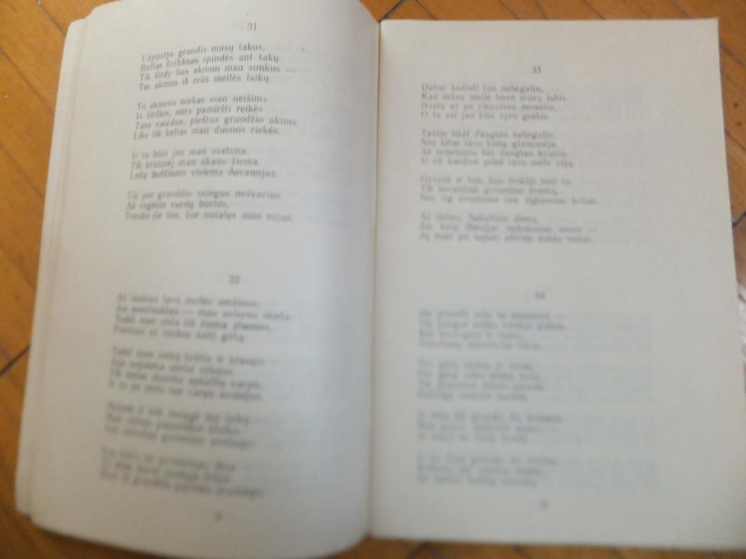 Atsisveikinimas gruody: sonetai - Autorių Kolektyvas, knyga 4