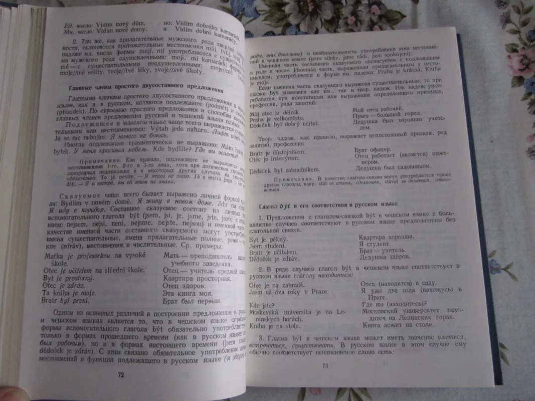 Učebnik češskovo jazyka - Autorių Kolektyvas, knyga