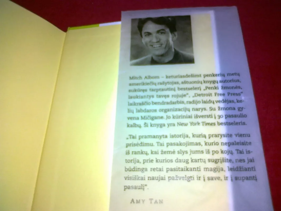 Penki žmonės, laukiantys tavęs rojuje - Mitch Albom, knyga