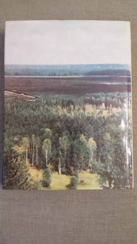 Čiurlioniui 100 - Autorių Kolektyvas, knyga 2