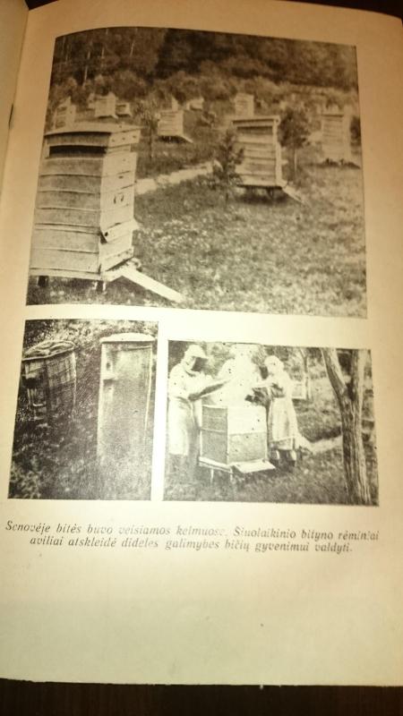 Bitės - J. Chalifmanas, knyga 4