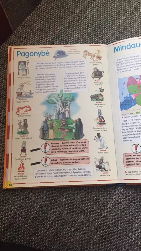 Pasaulio pažinimo atlasas pradinukams - Daina Šalnienė, Laima  Hofšteterienė, knyga