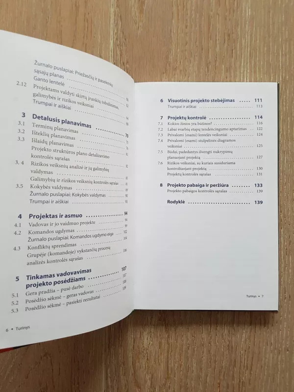 Projektų valdymas: veiksmingas projektų planavimas ir sėkmingas jų įgyvendinimas - Wolfgang Lessel, knyga