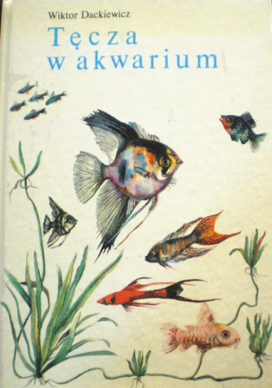 Tecza w akwarium - Dackiewicz Wiktor, knyga