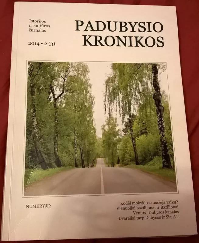 Padubysio kronikos - Autorių Kolektyvas, knyga