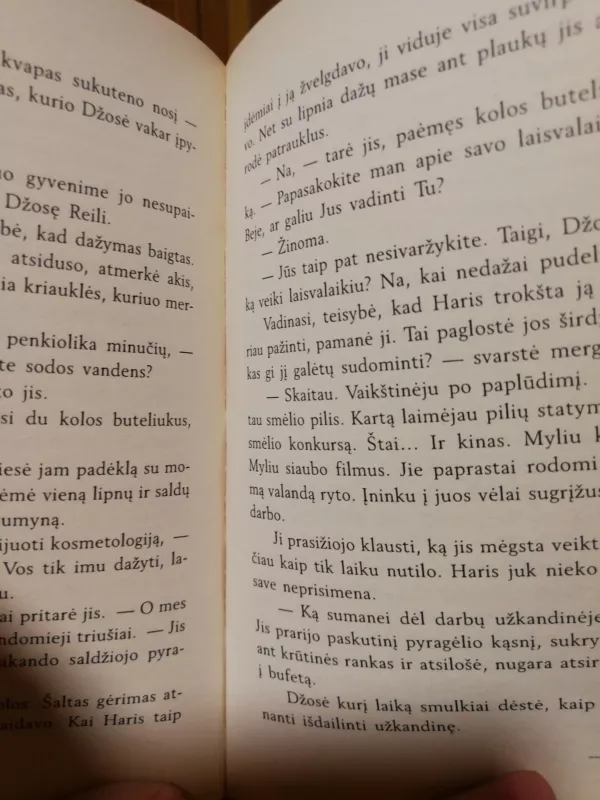 Džosefinos paslaptis - Suzanne McMinn, knyga 2