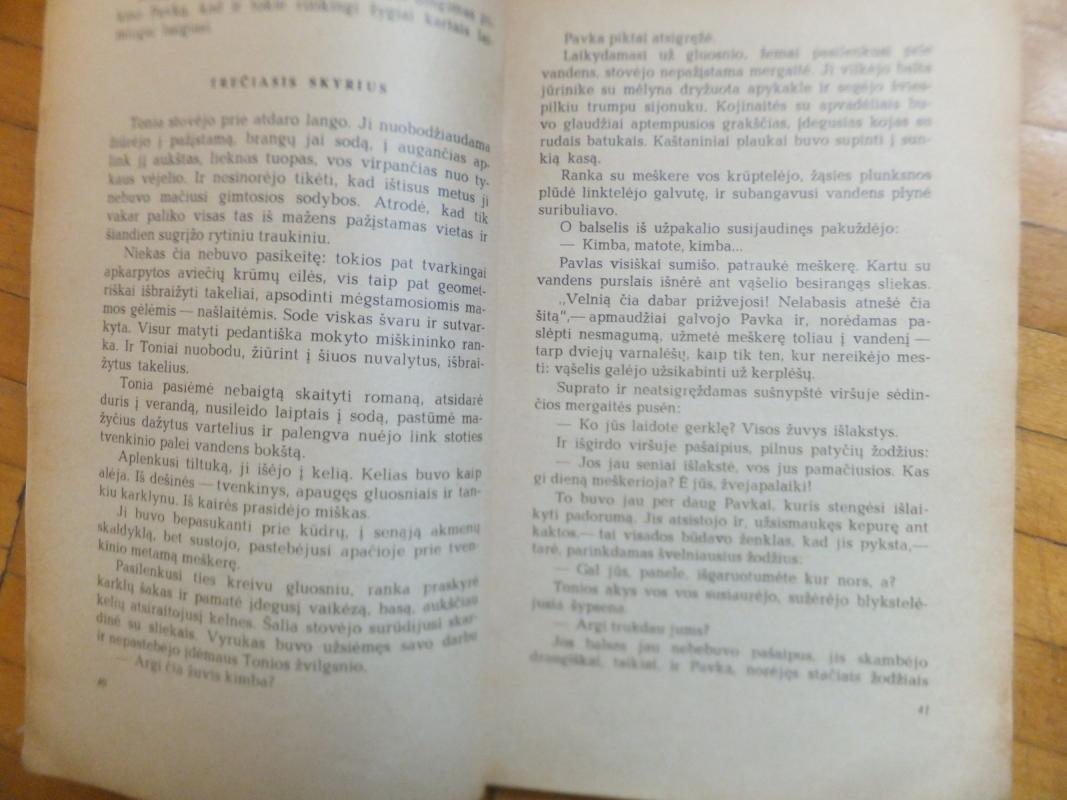 Kaip grūdinosi plienas - Nikolajus Ostrovskis, knyga 4