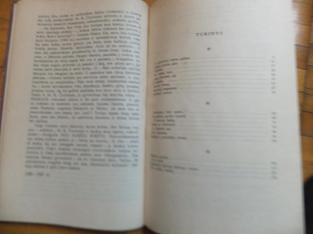 Kelionės fragmentai - Onė Baliukonytė, knyga 6