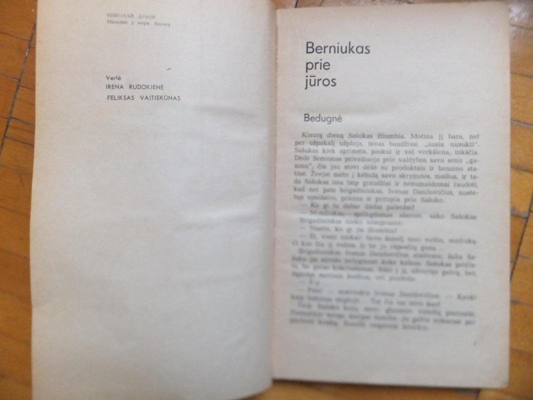 Berniukas prie jūros - Nikolajus Dubovas, knyga 5