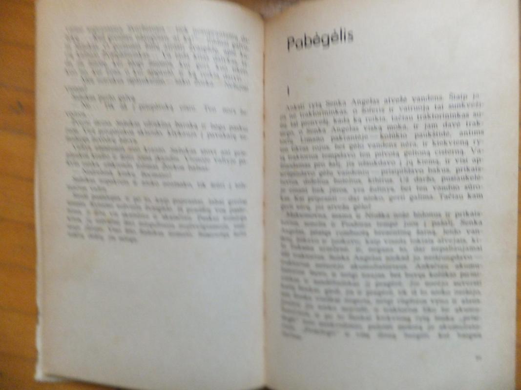 Berniukas prie jūros - Nikolajus Dubovas, knyga 4