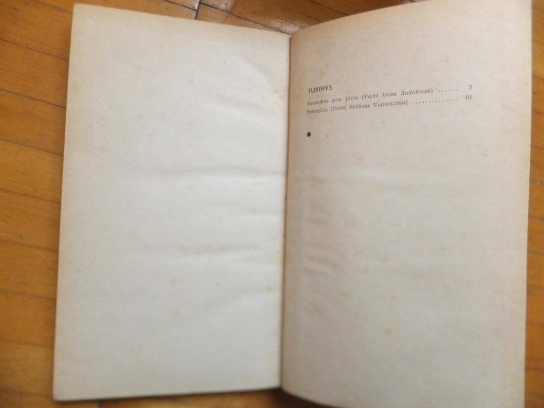 Berniukas prie jūros - Nikolajus Dubovas, knyga 3