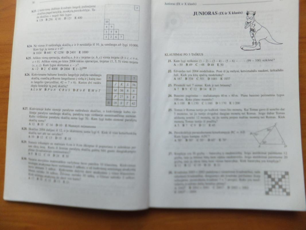 Kengūra 2004 - Juozas Mačys, knyga 6