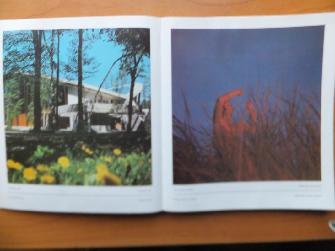 Palanga - Zinas Kazenas, knyga 5