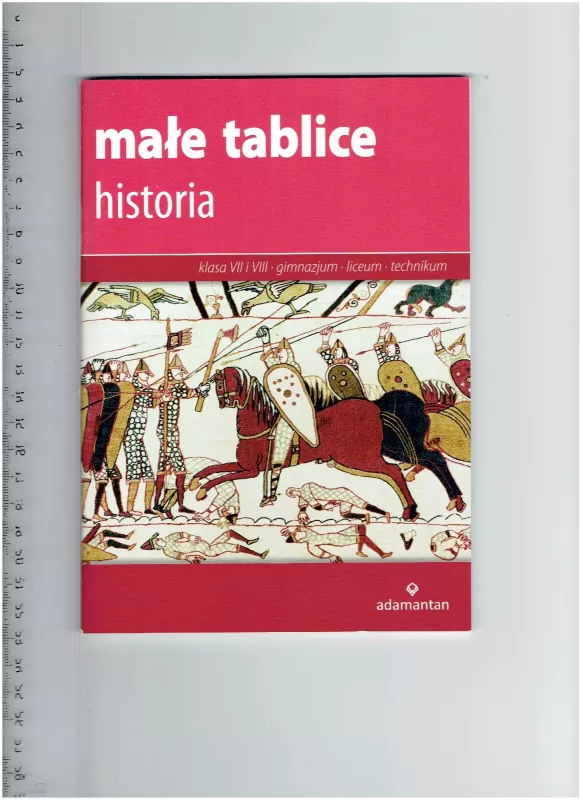 Male tablice HISTORIA - Witold Mizerski, knyga