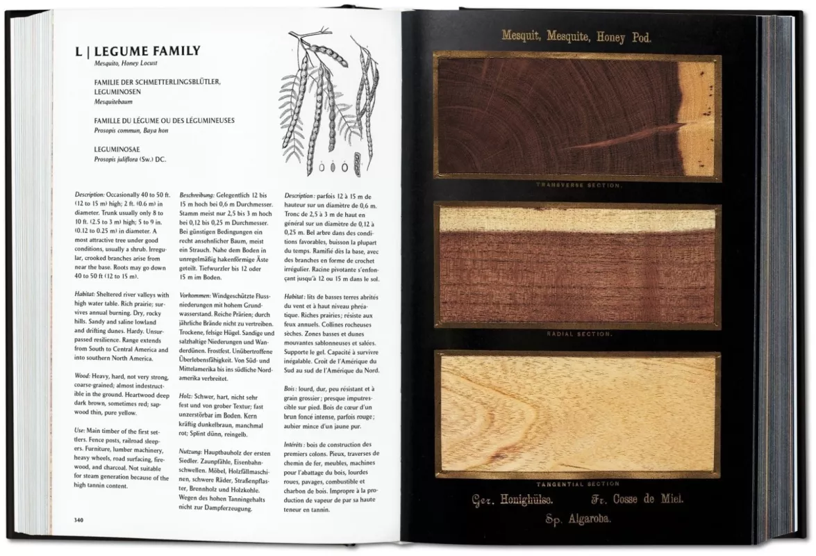 the woodbook - Autorių Kolektyvas, knyga