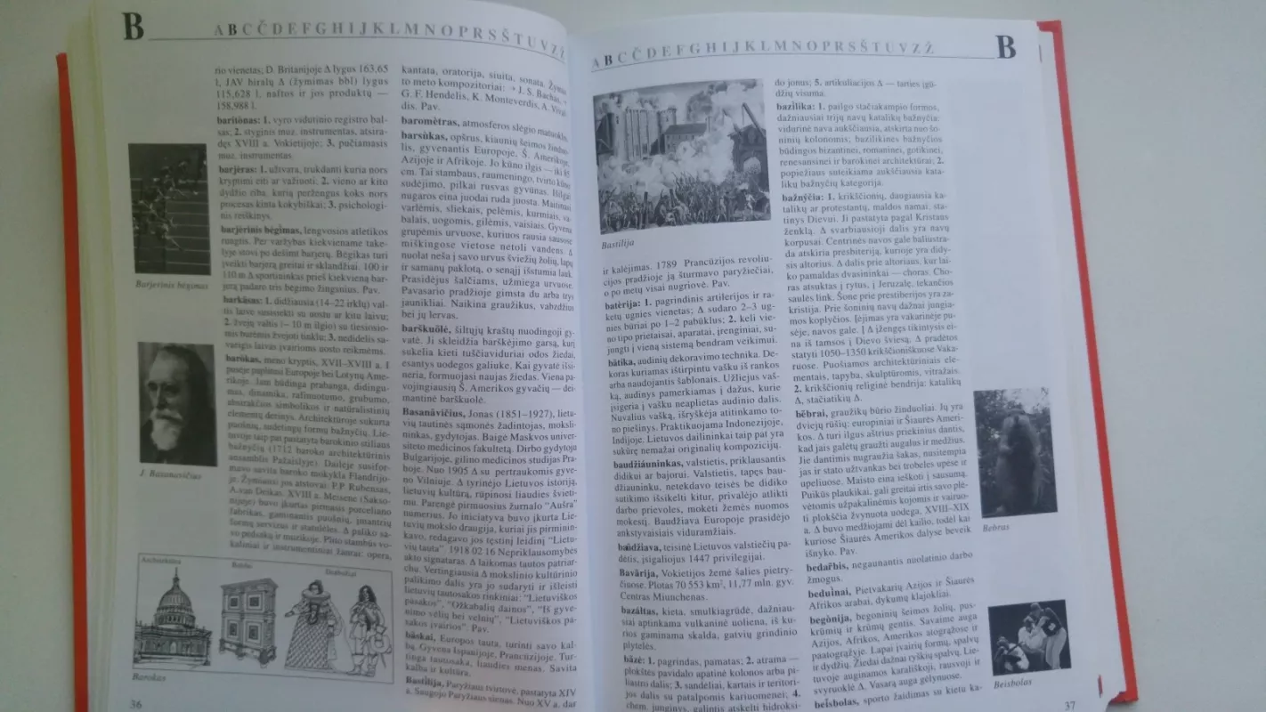 Iliustruotas Enciklopedinis Žinynas Moksleiviams - Danguolė Gudonavičienė, knyga