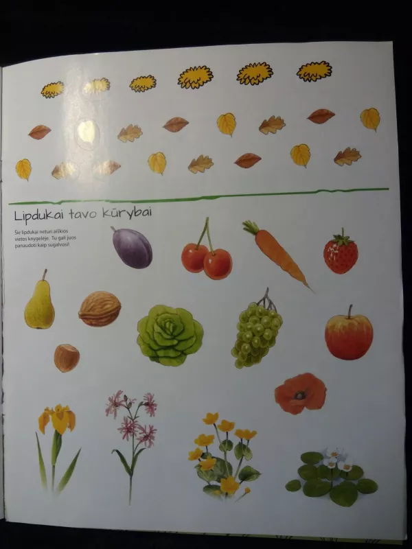 Augalai. Pažintinė veiklos knygelė - Autorių Kolektyvas, knyga