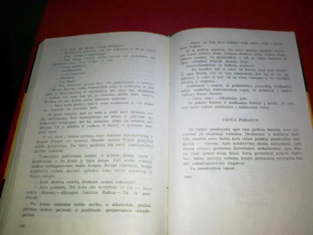 Visur duona su pluta - Vytautas Petkevičius, knyga