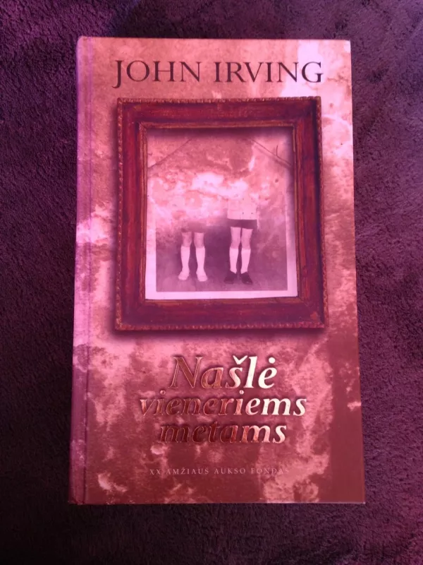 Našlė vieneriems metams - John Irving, knyga 3